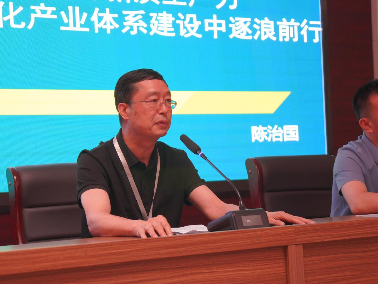加快培育新质生产力，在现代化产业体系建设中逐浪前行